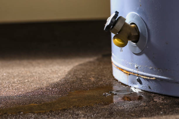 Best Local water damage restoration  in Palm Valley, FL