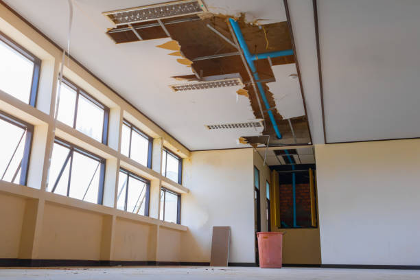 Best Water damage cleanup near me  in Palm Valley, FL