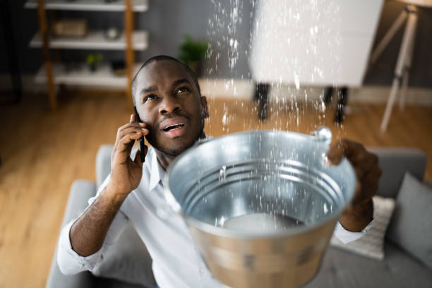 Best Flooded house restoration  in Palm Valley, FL