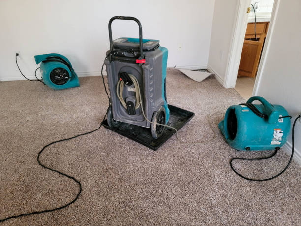 Best Carpet water damage restoration  in Palm Valley, FL