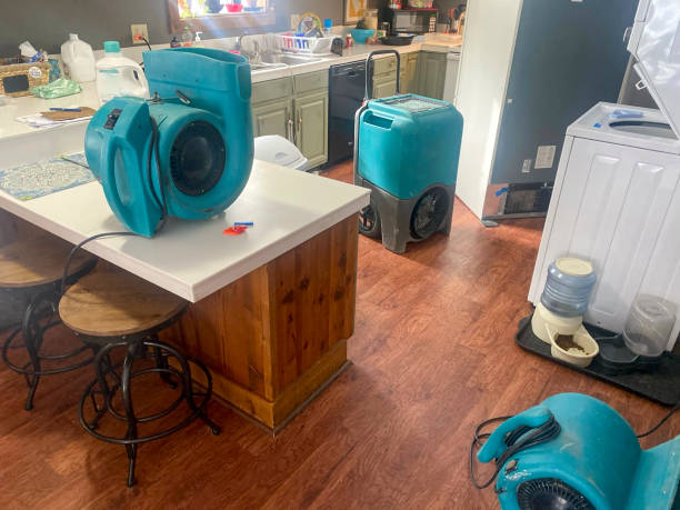 Best Flooded house restoration  in Palm Valley, FL