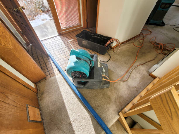 Best Fire Damage Restoration  in Palm Valley, FL