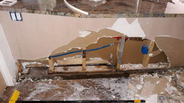 Best Flood restoration services  in Palm Valley, FL