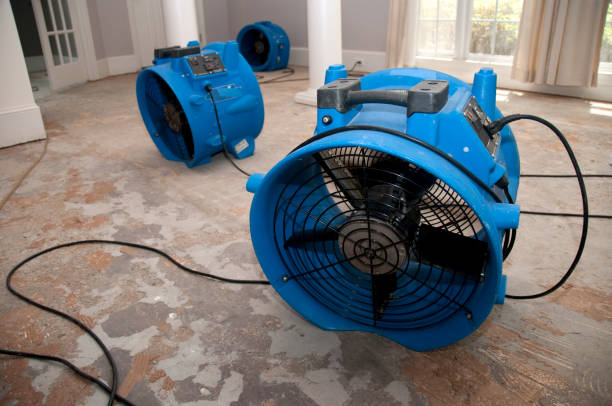 Best Water damage cleanup near me  in Palm Valley, FL