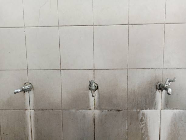 Best Professional water damage repair  in Palm Valley, FL