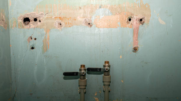 Best Ceiling water damage repair  in Palm Valley, FL