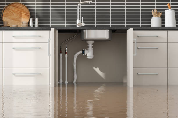 Best Flood damage cleanup  in Palm Valley, FL