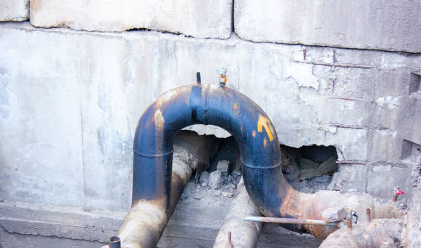 Best Water damage restoration experts  in Palm Valley, FL