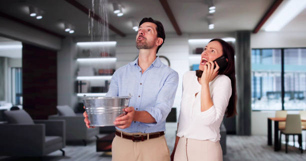 Best Water damage restoration services  in Palm Valley, FL