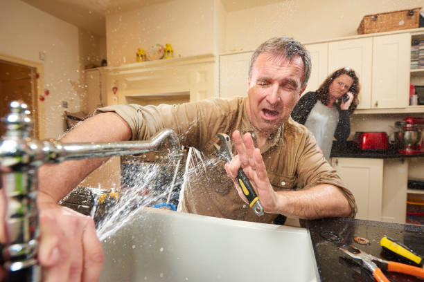 Best Water damage cleanup near me  in Palm Valley, FL